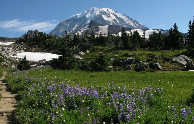 Spray Park is a Washington summertime classic.