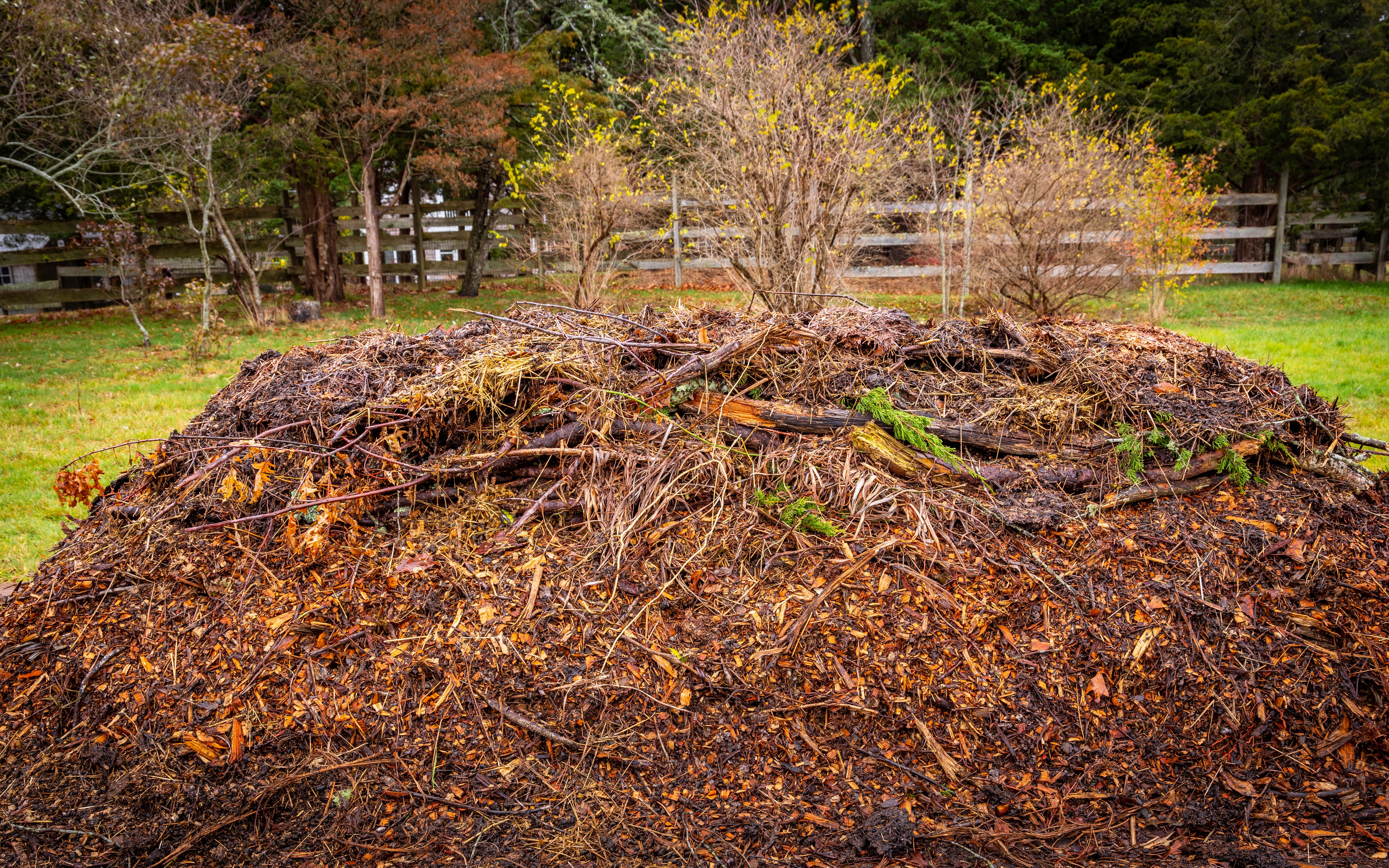 Is black soil from hilly 2025 woods good for growing vegetables