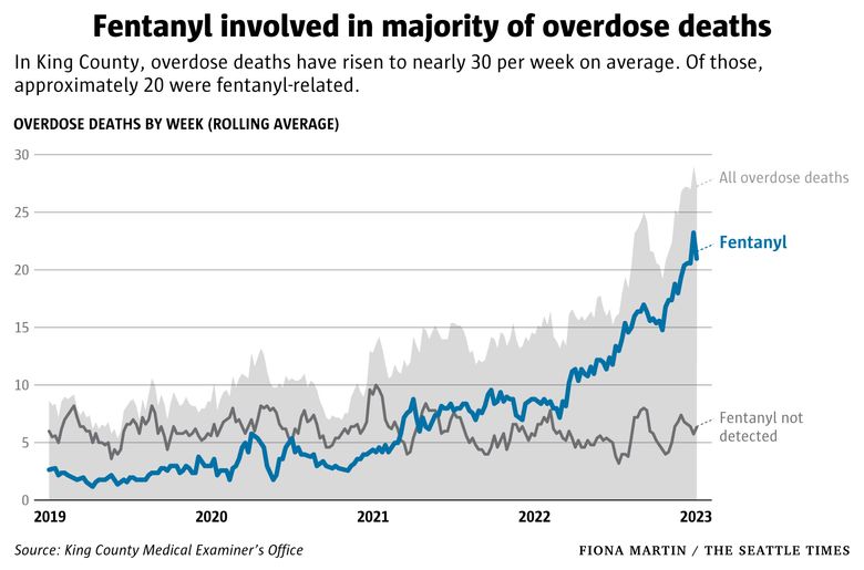 Seattle facing rise in fentanyl-related overdoses, running out of space to  store dead bodies