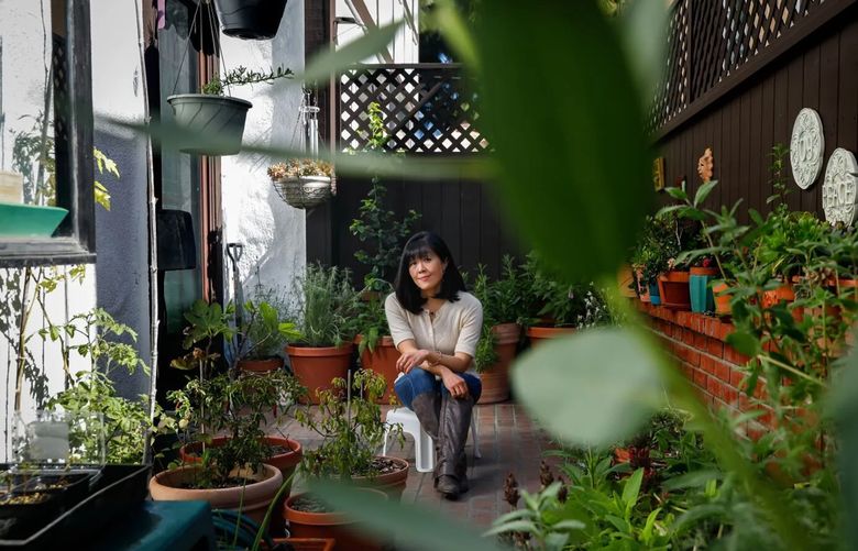 Barbara Chung turned a small patio into a native plant habitat that thrives. (Christina House/Los Angeles Times/Christina House)