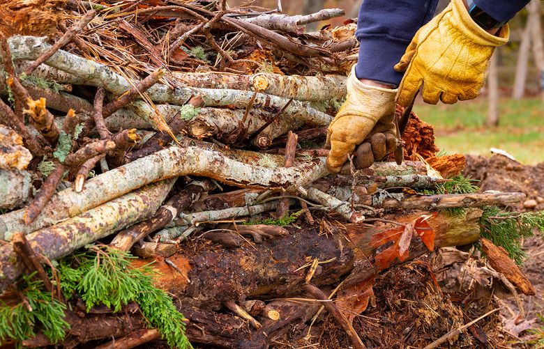 Building a Hügelkultur raised bed is a method of sustainable, zero waste farming. (Getty Images)