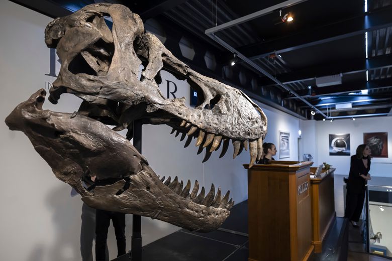 T. rex fossil sells for more than $5M at Zurich auction