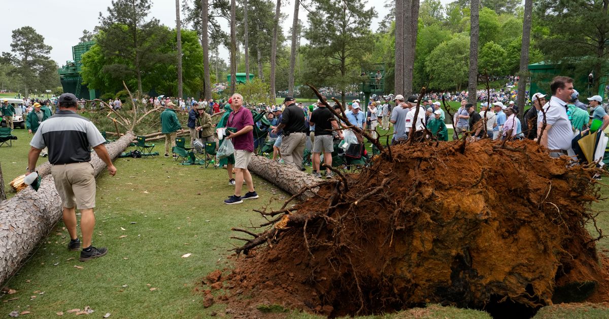 AP PHOTOS: Masters crews make quick work of fallen pines