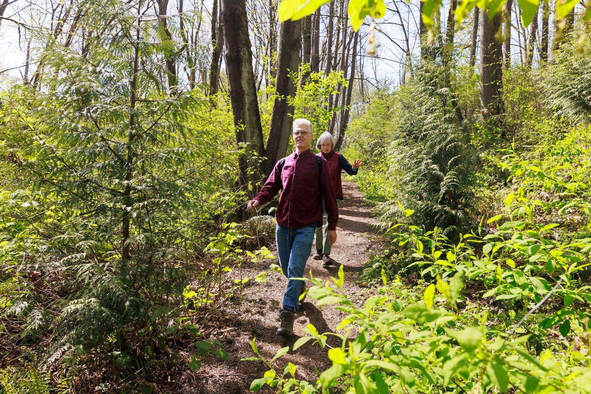 Duwamish Trail, Green River Trail — Washington Trails Association