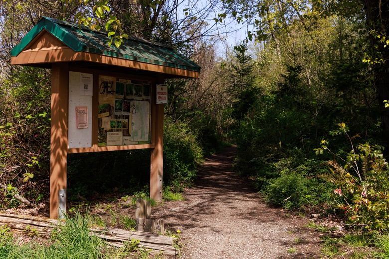 Duwamish Trail, Green River Trail — Washington Trails Association