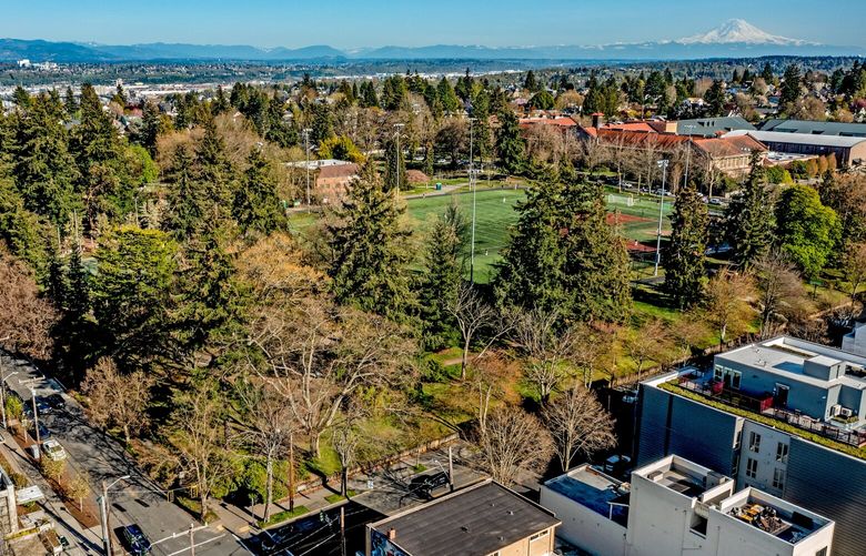 NOW: In this aerial view, Hiawatha Community Center (formerly fieldhouse) peeks through the trees at back center, flanked by West Seattle High School at upper right beneath Mount Rainier. A Safeway stands on the former Corner Grocery site at lower left, and two low-slung Lawton Cypress trees straddle the park’s corner entry at lower left-center.