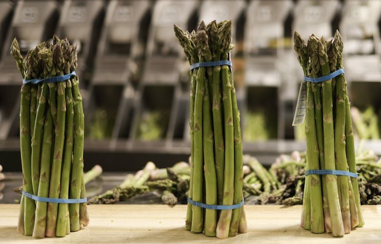 Bundles of asparagus head down the packing line to be boxed at Imperial’s Garden Thursday, May 4, 2023, in Wapato, Wash.