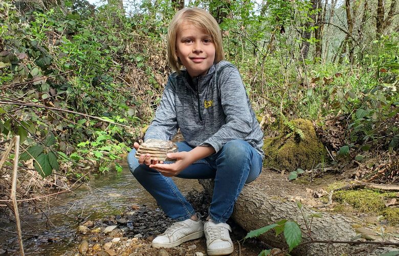 Jeremiah Longbrake, 9, with the mammoth tooth fragment he found on his grandmother’s property last month in Winston, Ore. MUST CREDIT: Megan Johnson.