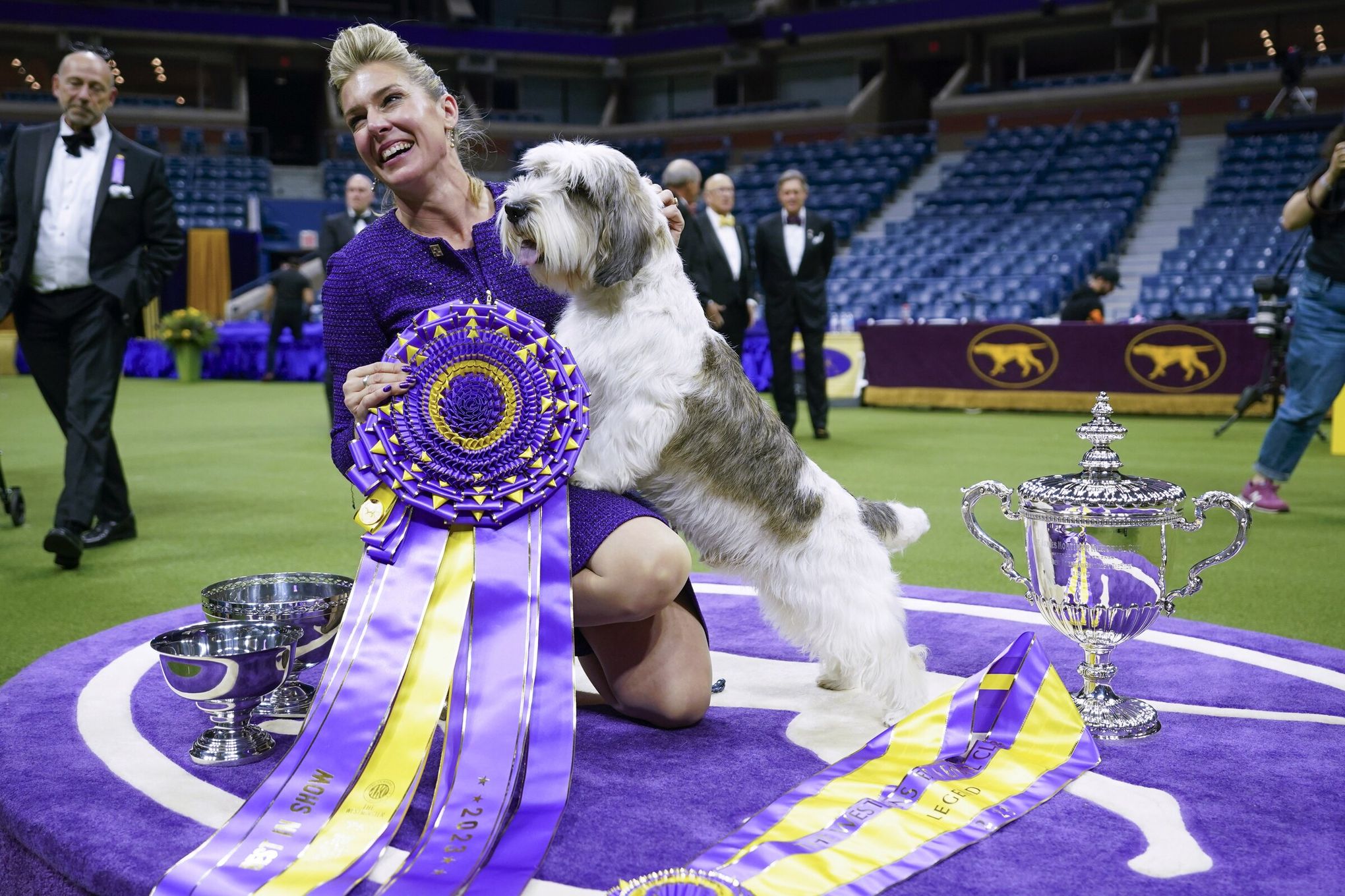 Peke, Frenchie, Aussie and, yes, PBGV make dog show finals – WABE