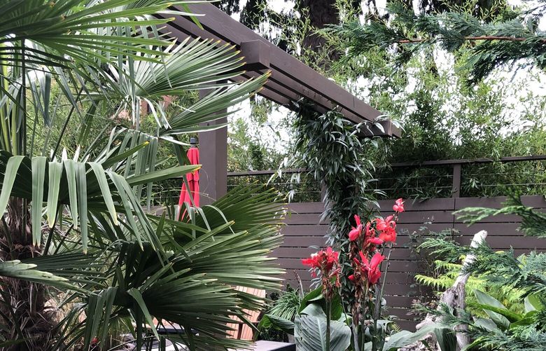 Contrasting textures furnished by hardy evergreen plants, including a Chinese windmill palm, fill deep planting beds. (Lisa Bauer / Chartreuse Landscape)
