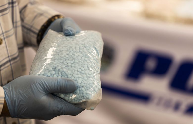 A King County detective holds up 11,000 fentanyl pills from a December drug bust. (Daniel Kim / The Seattle Times)