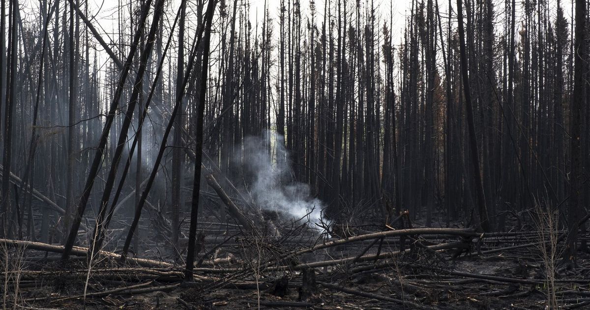 A ‘Canadian armageddon’ sets parts of western Canada on fire | The ...