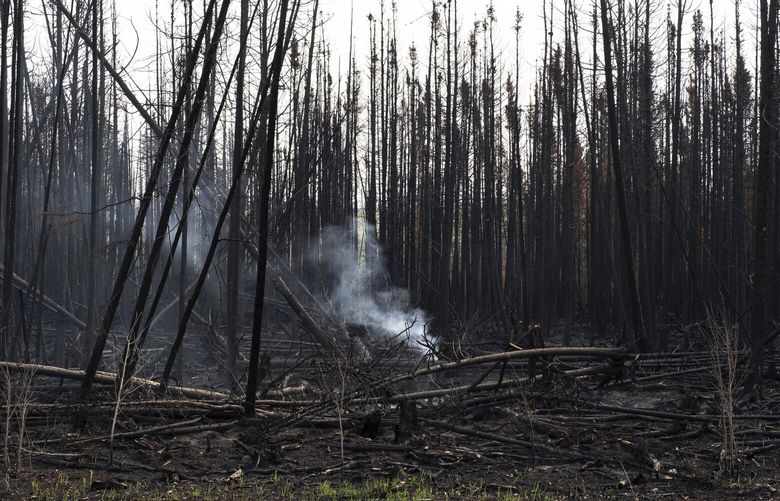 A charred forest in Drayton Valley, Alberta, Canada on May 18, 2023. In a country revered for placid landscapes and predictability, weeks of out-of-control wildfires raging across western Canada have ushered in a potent sense of fear, threatening a region that is the epicenter of the country’s oil and gas sector. (Jen Osborne/The New York Times) XNYT228