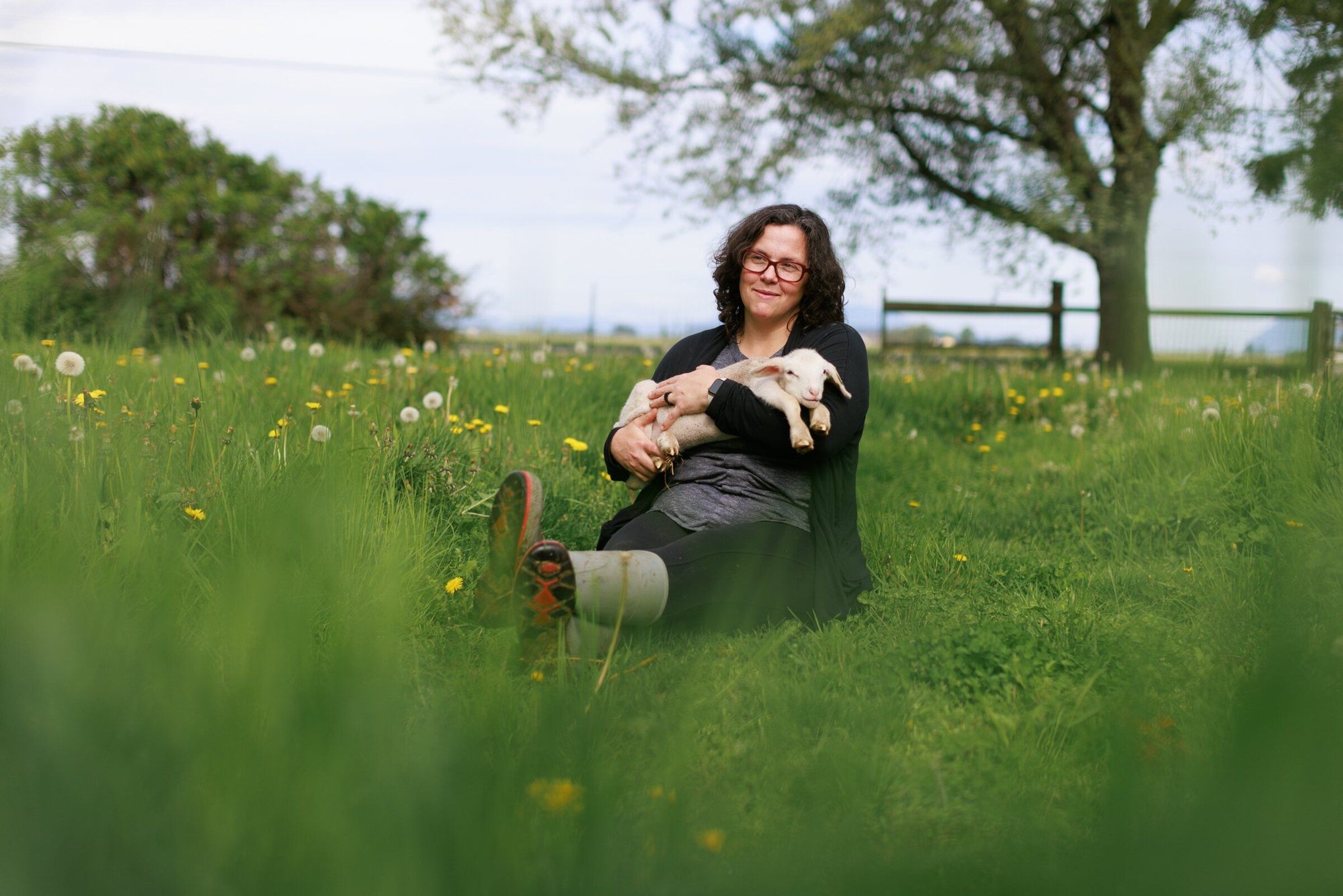 At Harmony Fields a couple raises sheep kids and awareness of