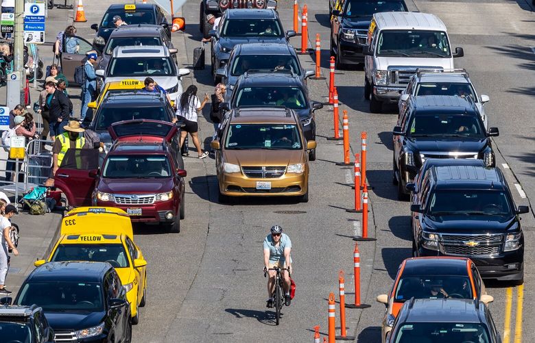 Bicyclists weave their way through the cruise line traffic Saturday morning at on Alaskan Way in Seattle, Washington on May 20, 2023.