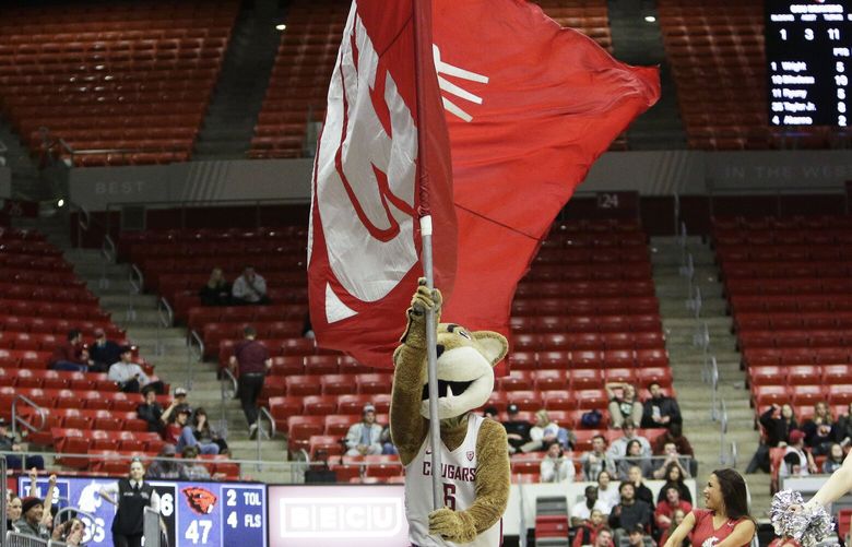 Washington State mascot Butch T. Cougar runs on the court during the second half of an NCAA college basketball game between Washington State and Oregon State, Thursday, Feb. 16, 2023, in Pullman, Wash. (AP Photo/Young Kwak) OTK