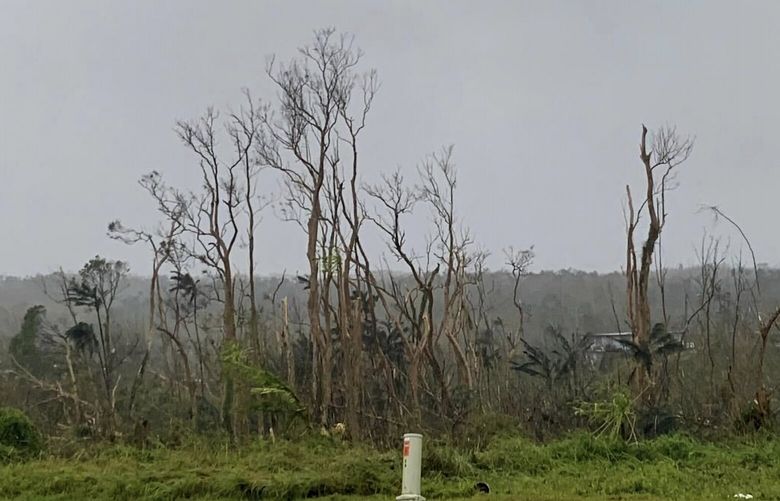 Trees stand stripped of leaves following Typhoon Mawar outside Hagatna, Guam, Thursday, May 25, 2023. The Category 4 typhoon pummeled the U.S. Pacific territory with howling winds, torrential rain and a life-threatening storm surge as residents hunkered down on the island. (AP Photo/Grace Garces Bordallo) LA310 LA310