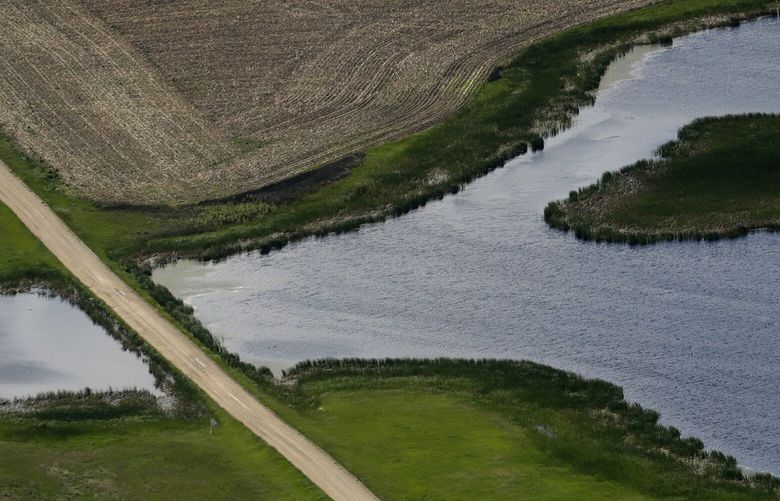 FILE – A road bisects a wetland on June 20, 2019, near Kulm, N.D. The Supreme Court has made it harder for the federal government to police water pollution. The decision from the court on Thursday, May 25, 2023, strips protections from wetlands that are isolated from larger bodies of water. It’s the second ruling in as many years in which a conservative majority has narrowed the reach of environmental regulations. (AP Photo/Charlie Riedel, File) WX105 WX105
