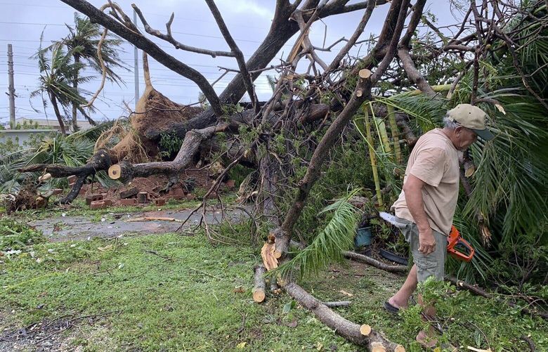 Andy Villagomez clears what remains of a large tree that overshadowed his front yard before falling to Typhoon Mawar, Thursday, May 25, 2023, in Mongmong-Toto-Maite, Guam. (AP Photo/Grace Garces Bordallo) GUMGB101 GUMGB101