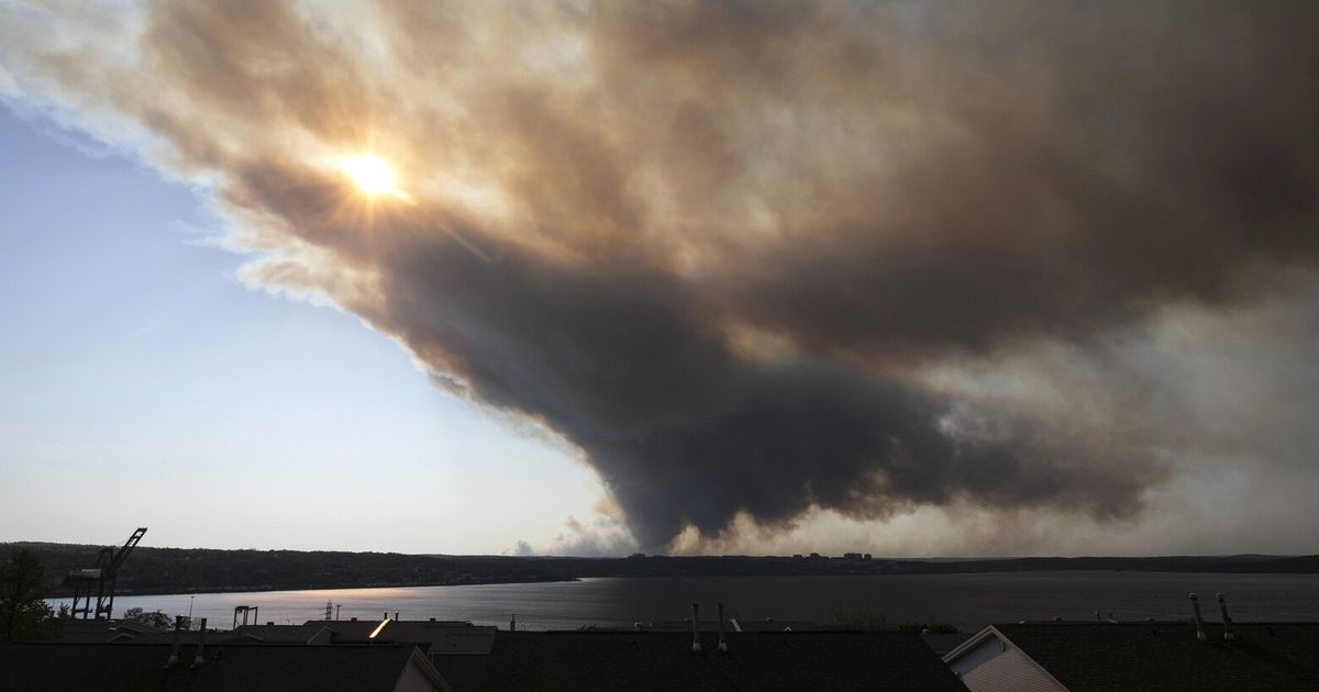 halifax-residents-board-buses-to-view-homes-destroyed-by-wildfires