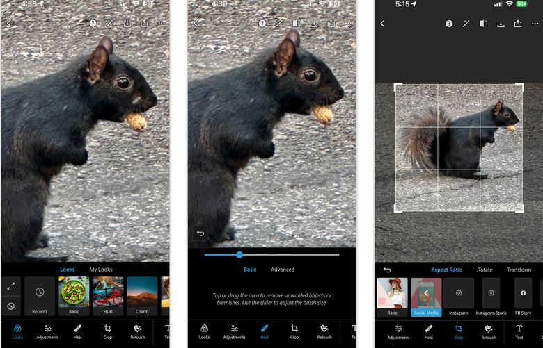 Adobe Photoshop Express is just one of many apps that can quickly touch up blemishes (and missing fur) within images, and crop the picture for social sharing. Photo apps have been using artificial intelligence for years to give you control over the look of your images. (Adobe via The New York Times)