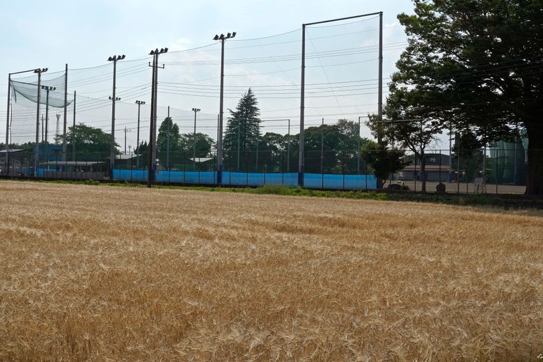 Japanese Knuckleball Pitcher Eri Yoshida Plays on Her Own 'Field of Dreams'  - The Japan News