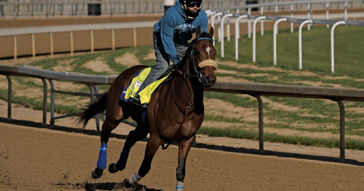 Skinner scratched from Kentucky Derby; field of 19 to run The Seattle