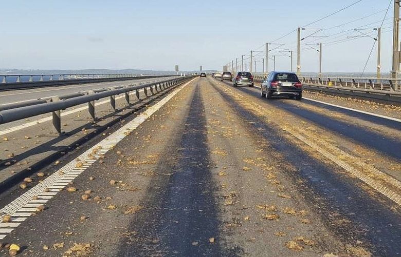 Potatoes are seen scattered across the carriageway on the western part of the Great Belt Bridge, Denmark, Thursday, June 1, 2023. A 57-year-old truck driver was Thursday detained after loads of potatoes have found on the key bridge linking two Danish islands, police said, adding the man was suspected of recklessly causes imminent danger to others. A first spill was reported in the westward direction on the Storebaelt bridge at 6.35 a.m., police spokesman Kenneth Taanquist said, adding a similar incident happened shortly after in the opposite direction.  (presse-fotos.dk/Ritzau Scanpix via AP) DEN801 DEN801