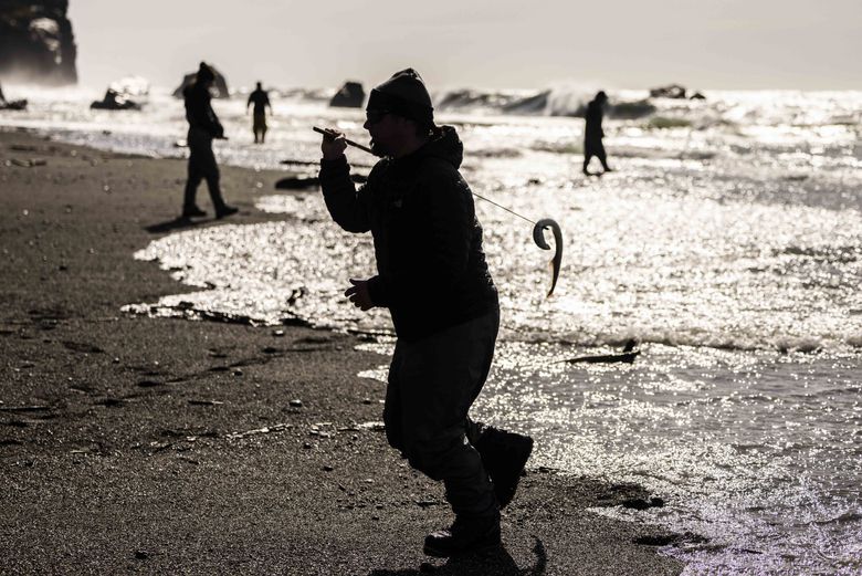 Barry McCovey, fisheries director for the Yurok Tribe, uses a traditional fishing technique to catch lamprey in March at the mouth of the Klamath River where the water flows into the Pacific Ocean in California. (Daniel Kim / The Seattle Times)