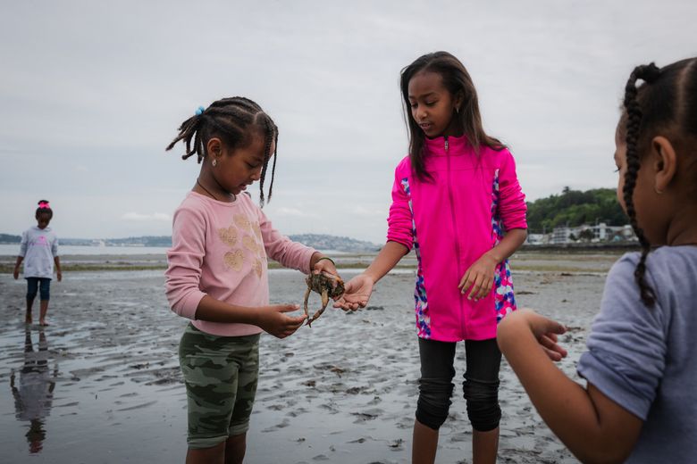 Meba, 5, examines a crab exposed by the historic low tides with family members Mena, 8, and Metamen, 3, near Alki Beach in West Seattle last spring. (Kori Suzuki / The Seattle Times, 2022)