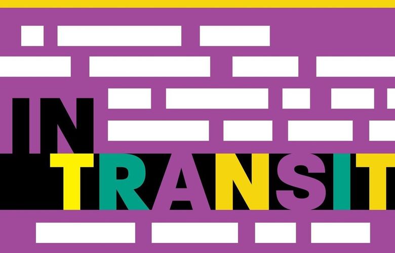“In Transit: Being Non-Binary in a World of Dichotomies” by Dianna E. Anderson (Courtesy of Tantor Audio)