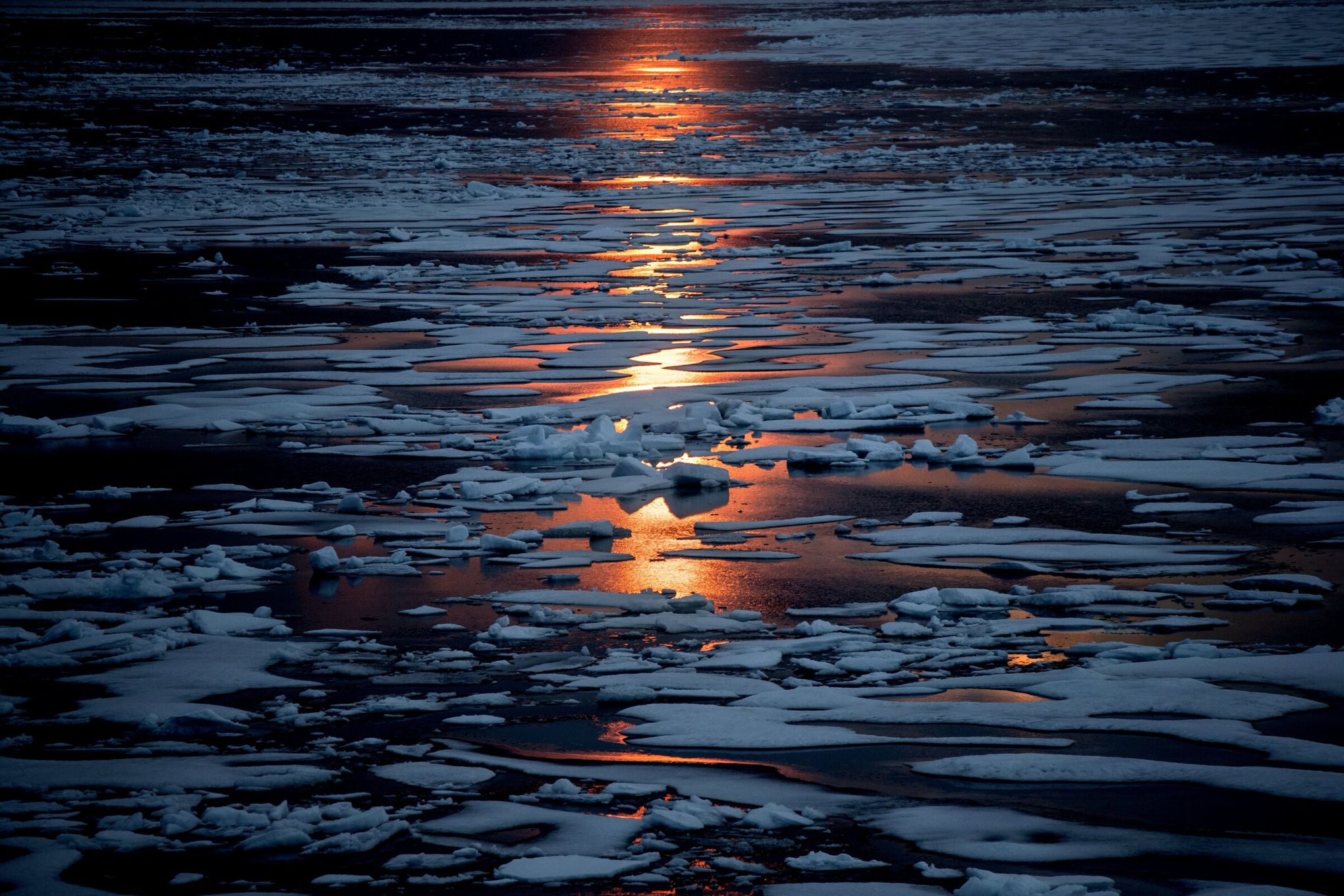 The Arctic midnight sun! - Arctic Portal