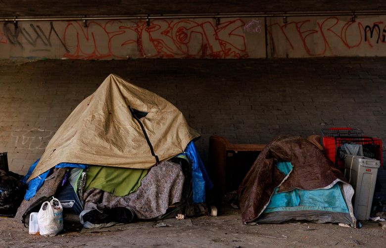 Tents are situated below Interstate 5 on King Street in the Chinatown International District in Seattle Friday, Feb. 24, 202  223160