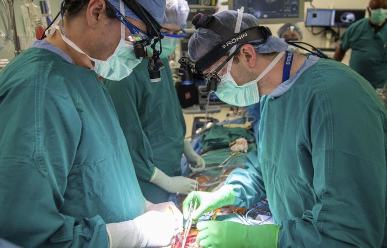 In this photo provided by Duke Health, surgeons Dr. Jacob Schroder, left, and Dr. Zachary Fitch perform a heart transplant at Duke University Hospital in Durham, N.C., in October 2022. Most transplanted hearts are from donors who are brain dead, but research published by Duke Health on Wednesday, June 7, 2023, shows a different approach can be just as successful and boost the number of available organs. It’s called donation after circulatory death, a method long used to recover kidneys and other organs but not more fragile hearts. (Shawn Rocco/Duke Health via AP) NY966 NY966