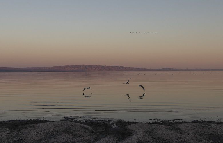 FILE — Birds at sunset in the Salton Sea in Desert Shores, Calif., Dec. 14, 2022. The San Andreas fault is sleepy near Los Angeles and researchers have an idea why; a new paper in the journal Nature offers an explanation for why the major fault line is overdue for the Big One. (Mette Lampcov/The New York Times) XNYT0313 XNYT0313