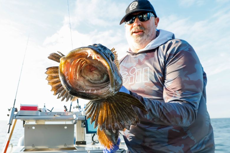 Tom Nelson shows off a very large lingcod. (Jennifer Buchanan / The Seattle Times)