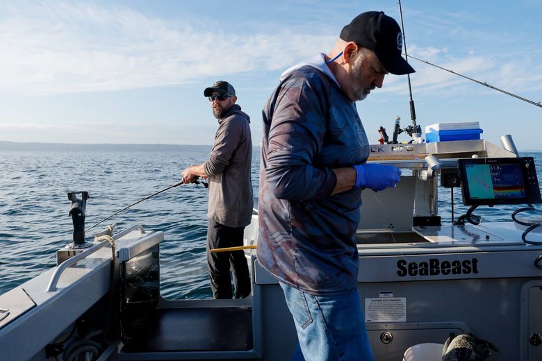 Joey Pyburn fishes off the back of the boat as Tom Nelson baits a hook with a pile perch. (Jennifer Buchanan / The Seattle Times)