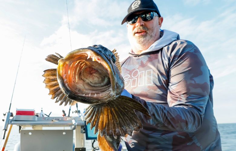 Tom Nelson shows off a very large lingcod.  223999