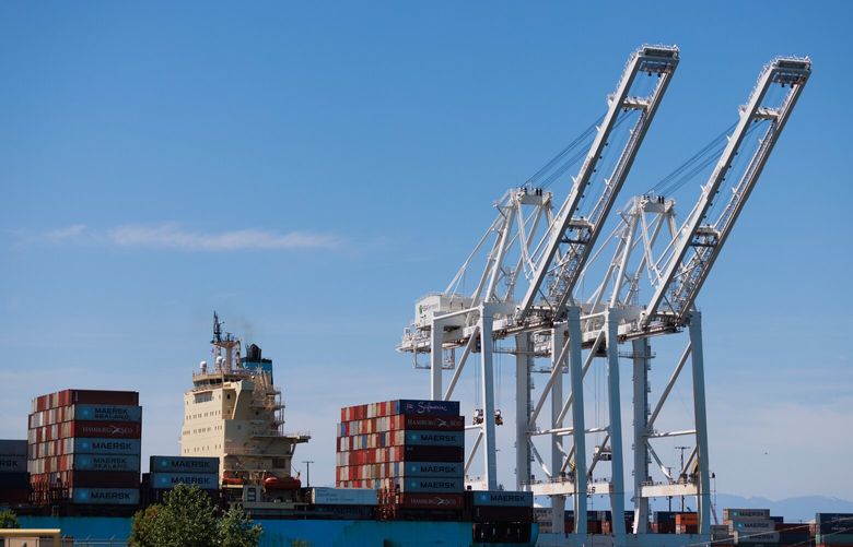Cargo ships are seen on the Duwamish Waterway in Seattle Monday, June 22, 2023.  224168
