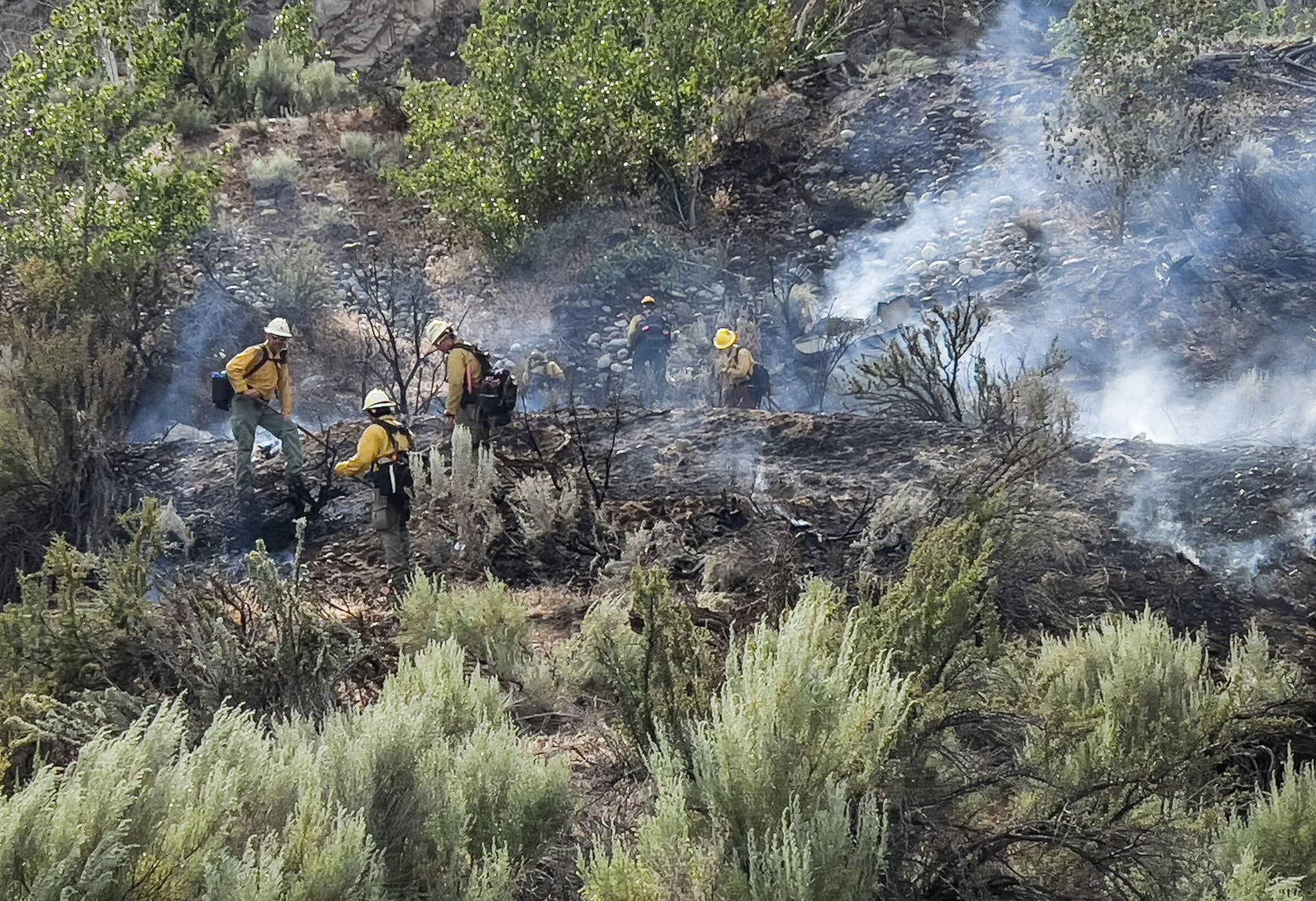 People are starting a lot of fires in the Pacific Northwest — High