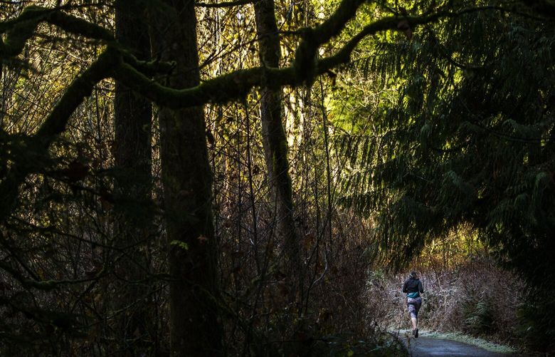 A trail runner at the Redmond Watershed Preserve Saturday December 12, 2020. 215870