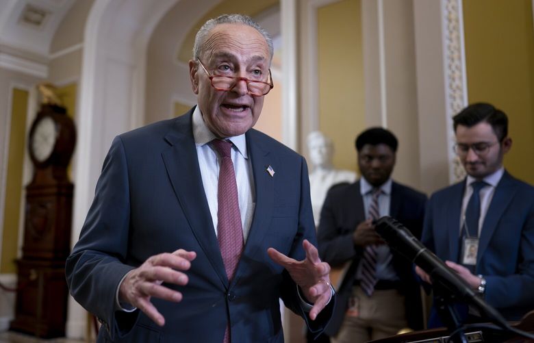 Senate Majority Leader Chuck Schumer, D-N.Y., talks to reporters about artificial intelligence, during a news conference following a closed-door meeting with fellow Democrats, at the Capitol in Washington, Wednesday, June 21, 2023. (AP Photo/J. Scott Applewhite) DCSA114 DCSA114