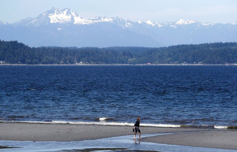 With the Olympic Mountains as a backdrop, a  mid-day low tide, one of the lowest of the year, at Alki Beach is a big attraction for beach combers Monday, June 5.