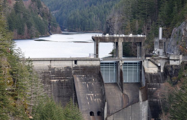 The Gorge Dam, the lowest of three dams owned by the City of Seattle’s hydro facilities in a chain on the Skagit River on January 25, 2023. Last year, the Sauk-Suiattle people launched into the rights-of-nature debate in its lawsuit over the impact of Seattle City Light’s Skagit dams on the salmon that have since time immemorial relied on the free-flowing waters of the river for sustenance.