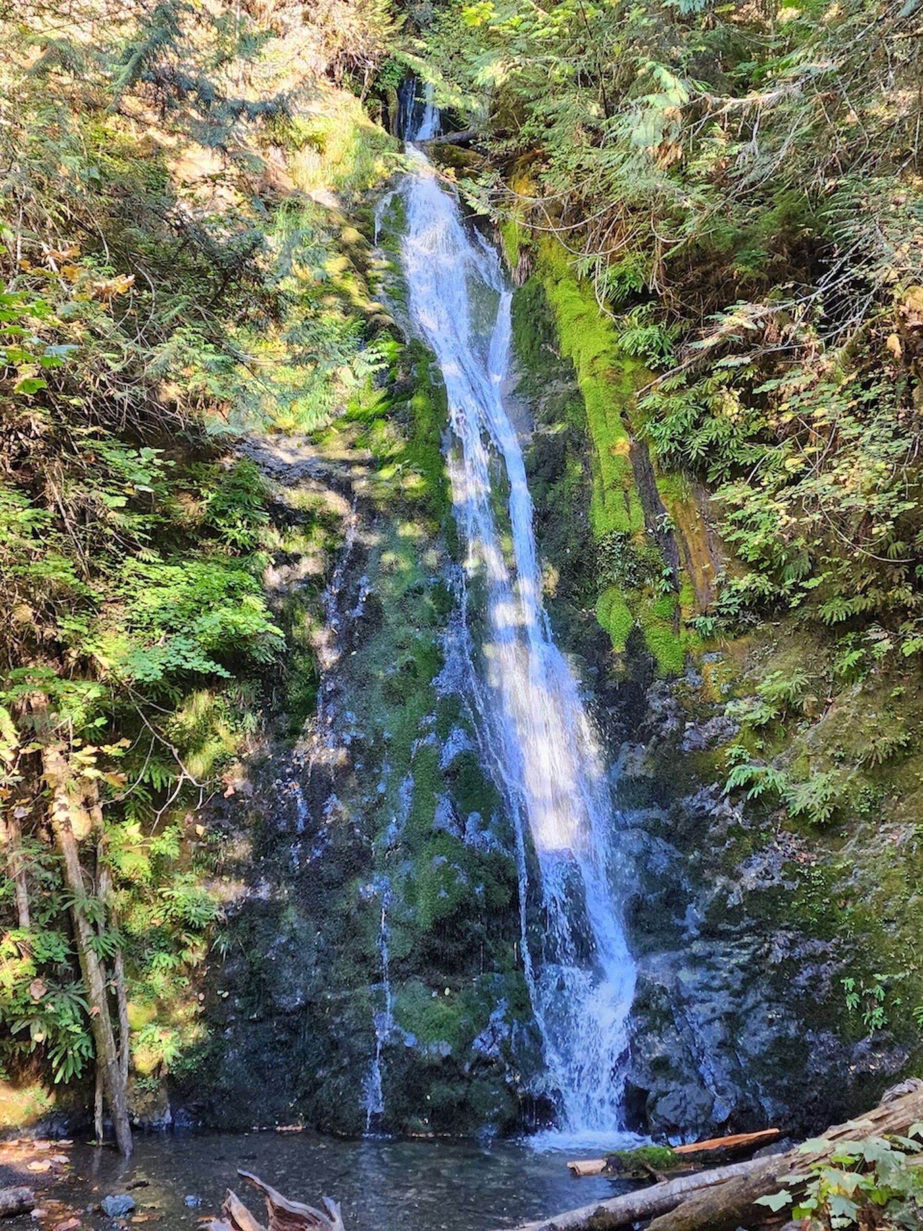 Olympic hotsell waterfall trail