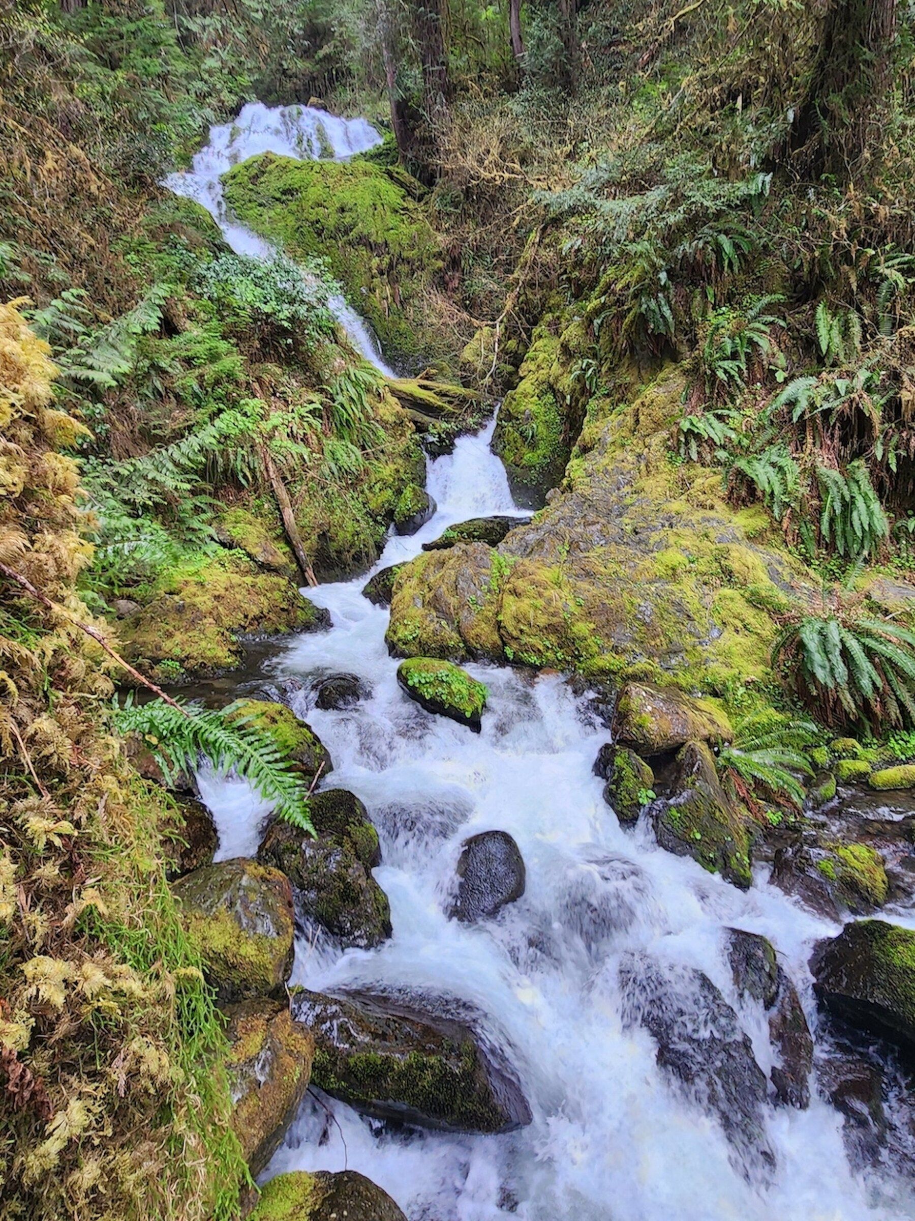 Olympic 2024 peninsula waterfalls