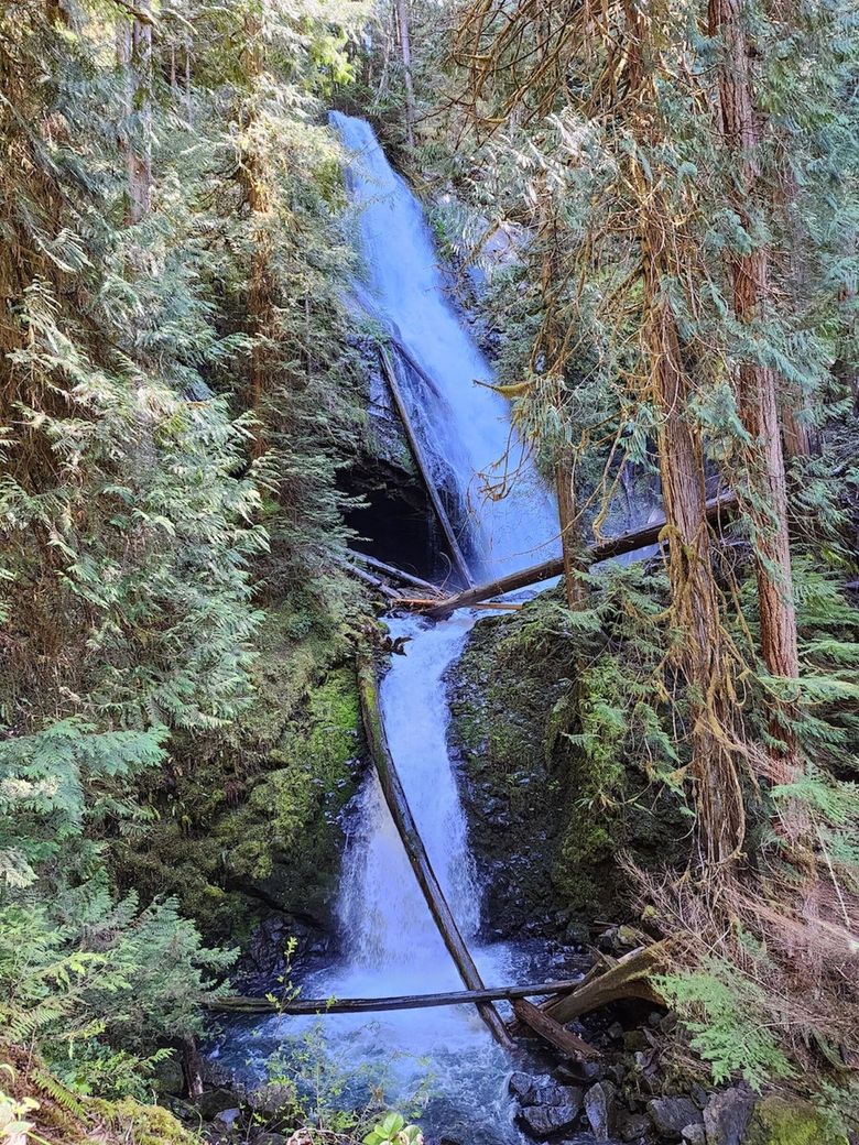 The Best Rain Forest Waterfalls on the Olympic Peninsula, WA