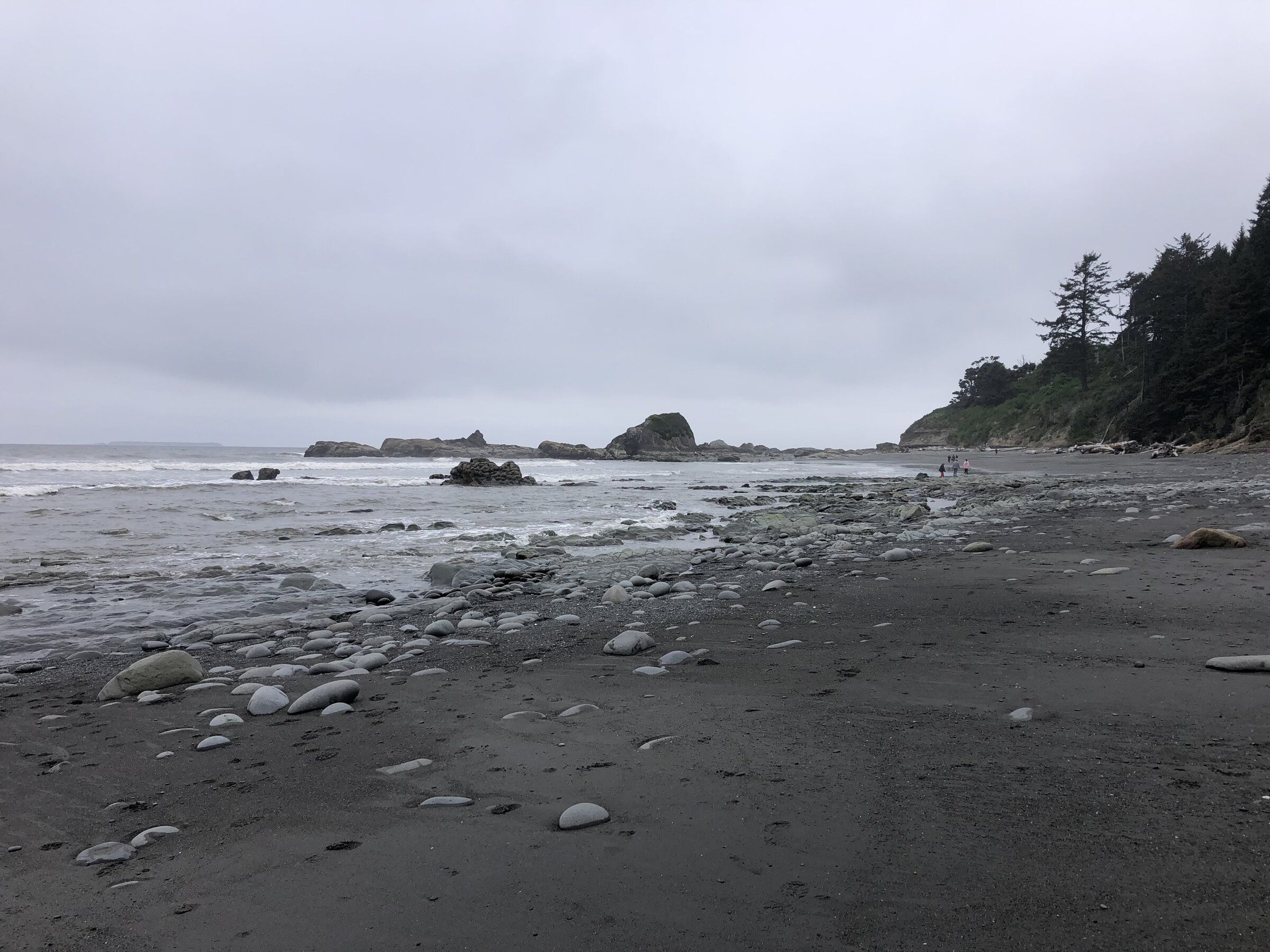 Hikes hotsell near kalaloch