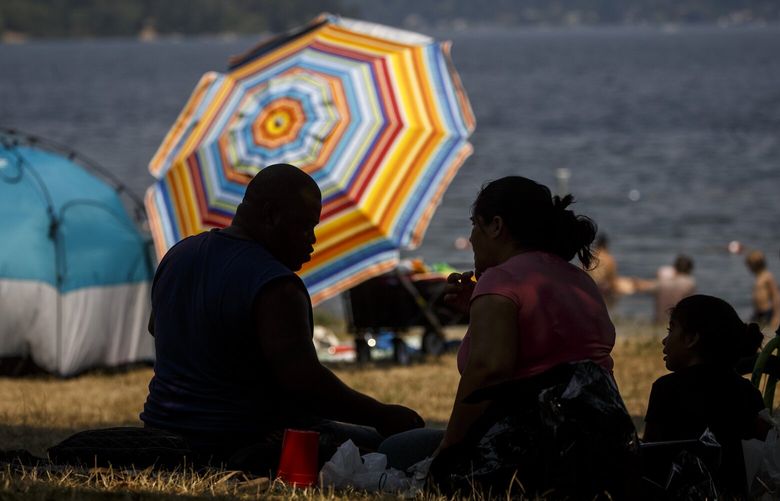 Park goers seek shade Pritchard Island Beach as temperatures reach in the high 80’s on Thursday, August 12, 2021 in Rainier Beach. An excessive heat warning is issued for Seattle area as the temperatures are expected to reach in the 90’s today.
LO