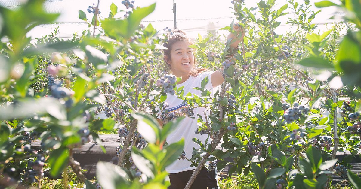 Two Washington state farm-fresh road trips | The Seattle Times